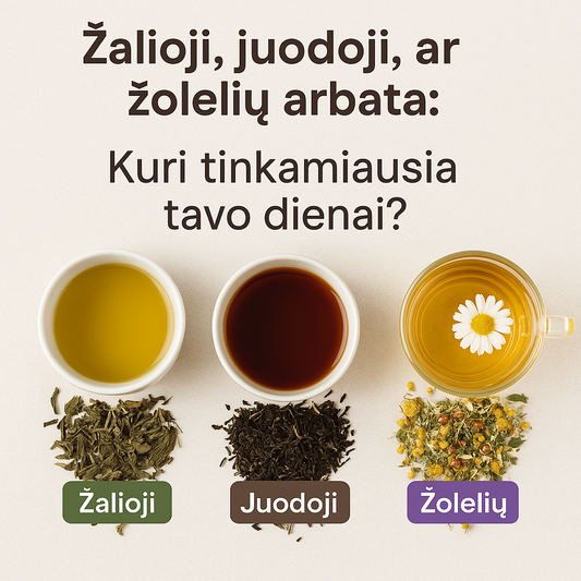 Trys arbatos puodeliai iš viršaus: žalioji arbata, juodoji arbata ir žolelių arbata su atitinkamais lapeliais bei užrašais. Vaizdas iliustruoja klausimą: „Kuri arbata tinkamiausia tavo dienai?