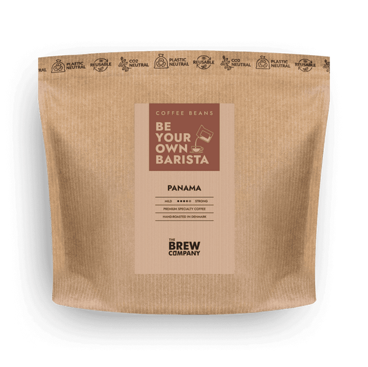 Panamanian Coffee from Finca Hortigal – Typica Variety, Volcanic Soil, Stone Fruit Notes, 333g